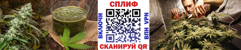 Cannafood конопля  Питкяранта 
