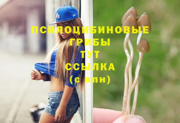 mdpv Нея