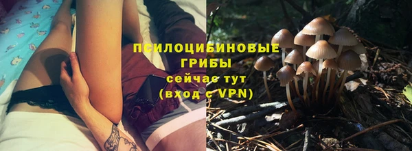 дмт Нефтекумск