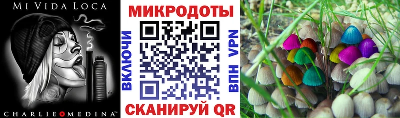 Галлюциногенные грибы ЛСД  наркота  Питкяранта 